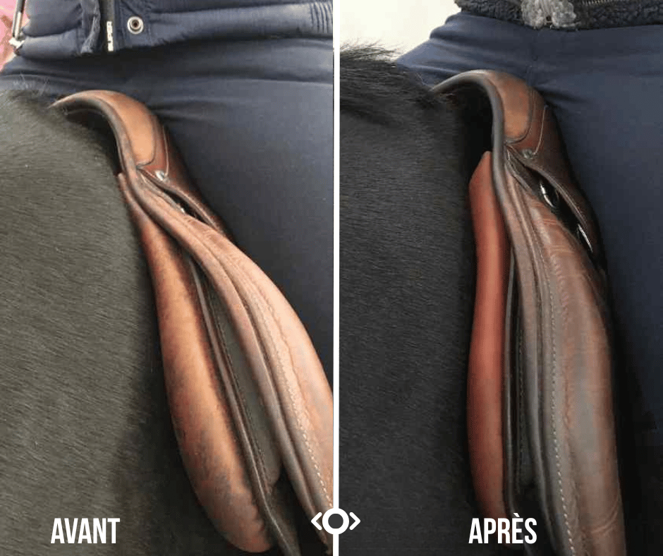 Modification de selle — avant après