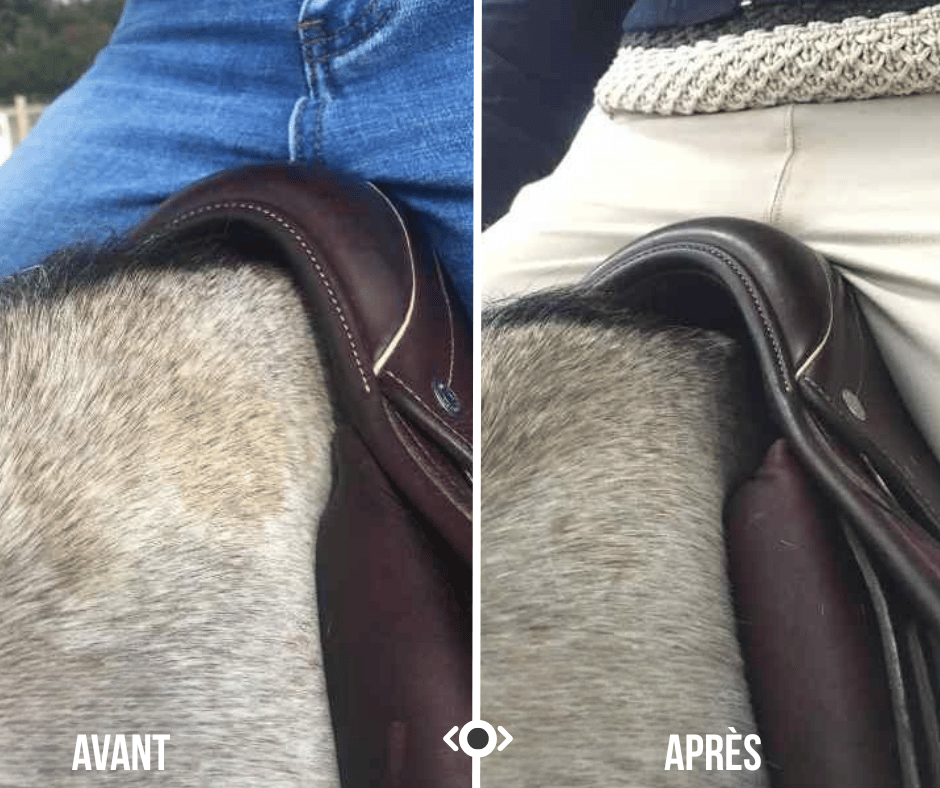 Modification de selle — avant après