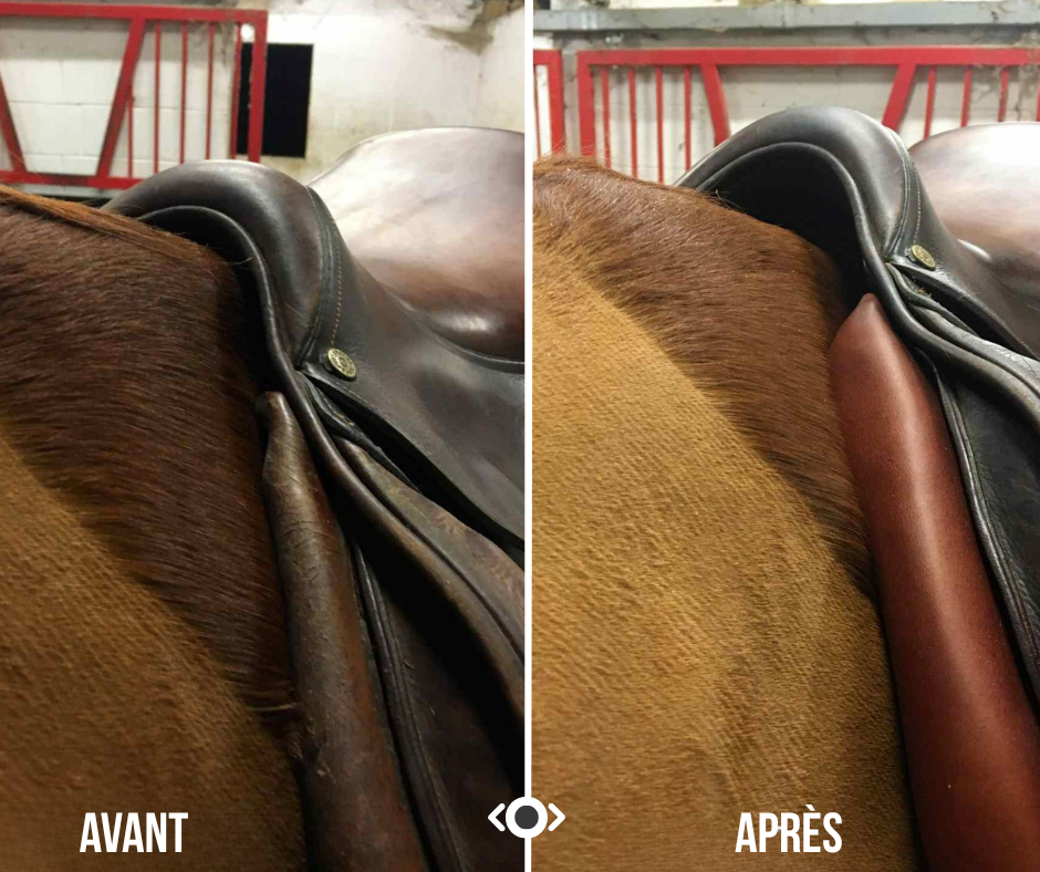 Modification de selle — avant après