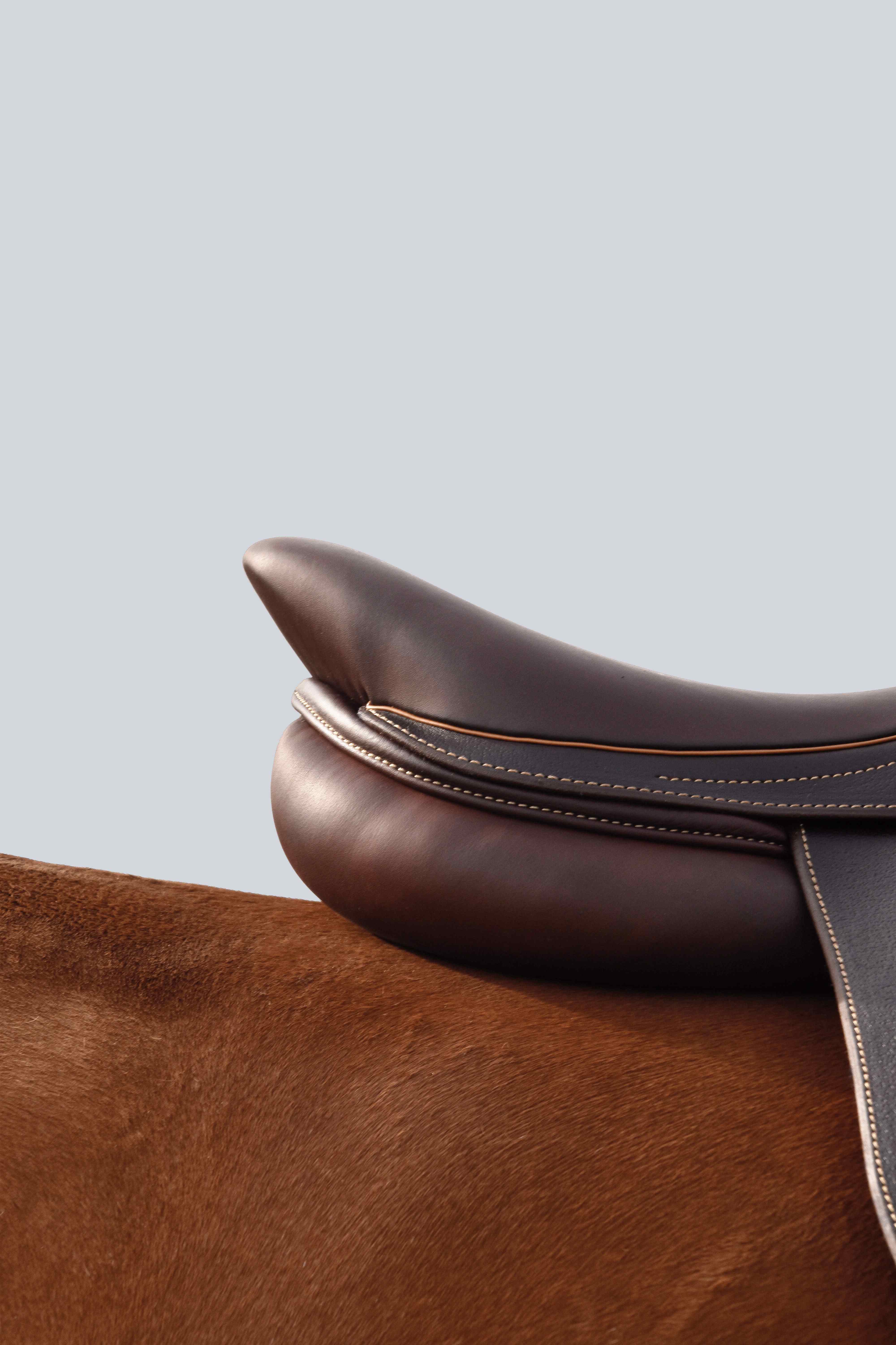 Selle sur le dos du cheval